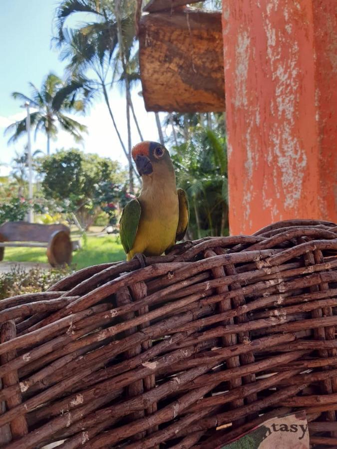 Pousada Recanto Dos Passaros Balsas ภายนอก รูปภาพ
