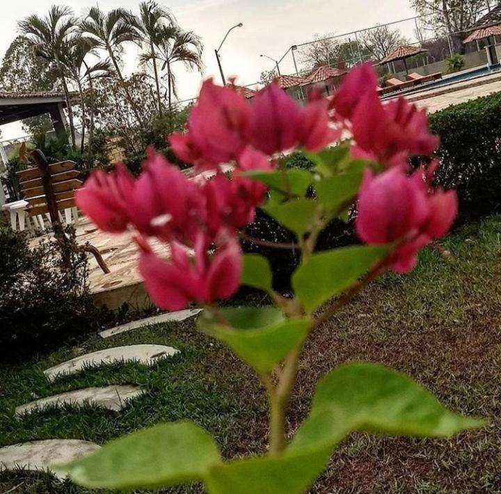 Pousada Recanto Dos Passaros Balsas ภายนอก รูปภาพ