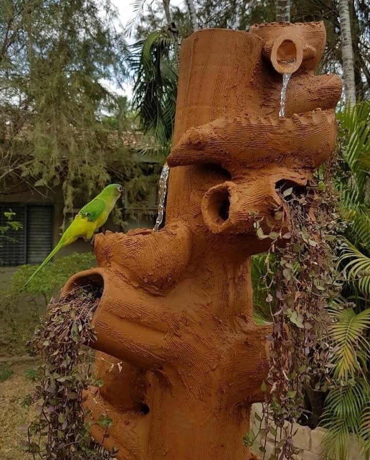 Pousada Recanto Dos Passaros Balsas ภายนอก รูปภาพ